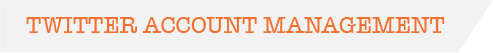 twitter account management